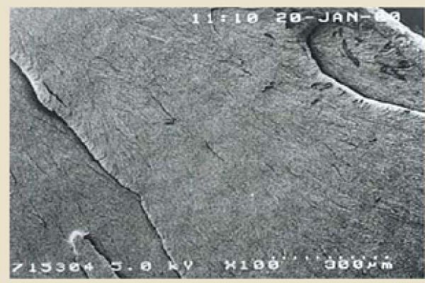 內壁材質及工藝